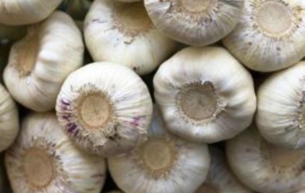 Kod trovanja hranom češnjak je UČINKOVITIJI od antibiotika
