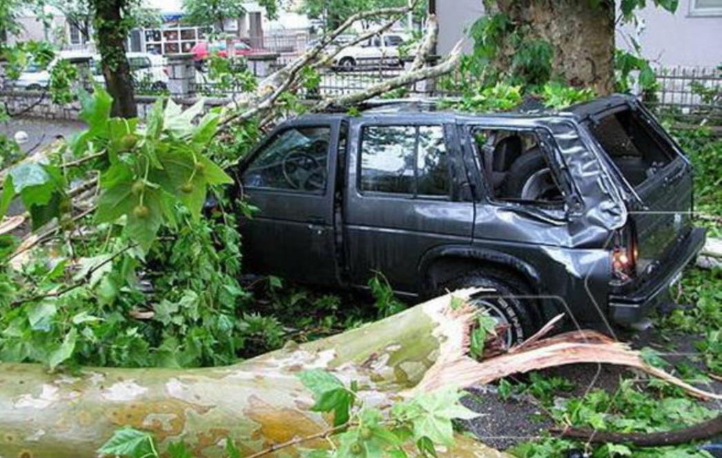 Grom srušio stablo na automobil, vozač ozlijeđen