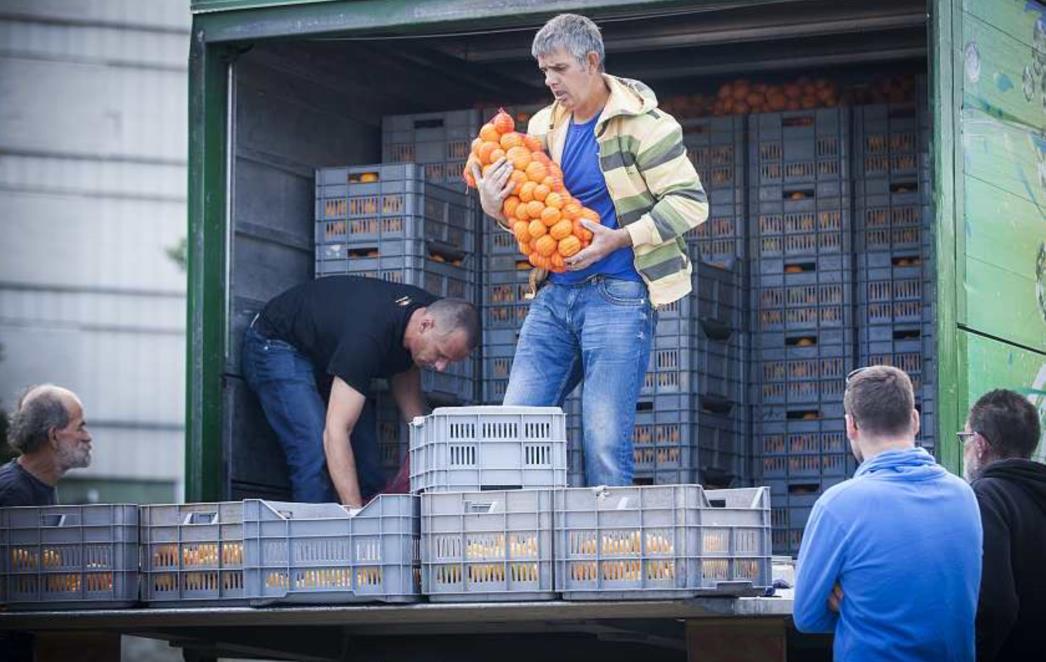 NERETVANSKE MANDARINE NA POLJUDU: Proizvođači zadovoljni prvim danom, planula prodaja!