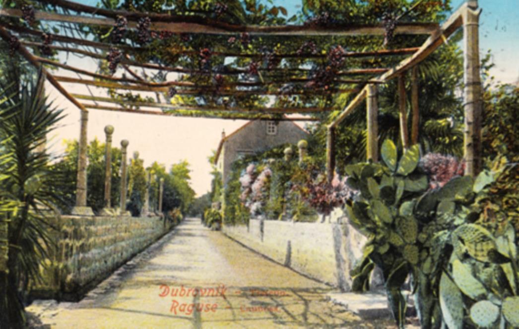 NE PROPUSTITE: Izložba starih razglednica Arboretuma Trsteno
