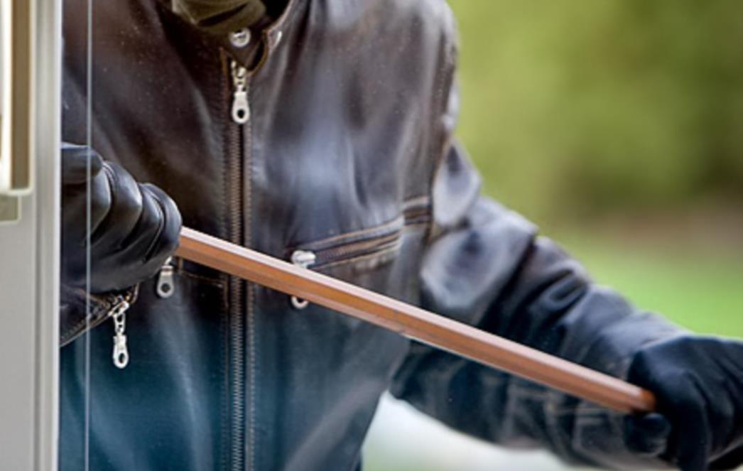 VIC DANA: Tako pametan, a krade