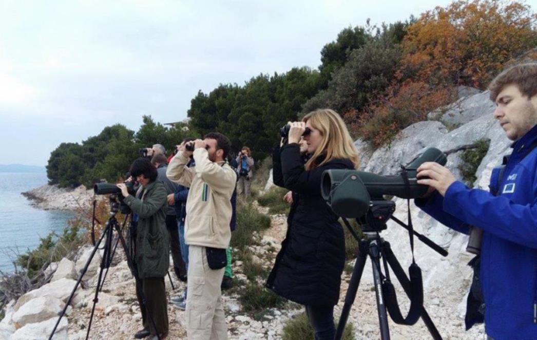 Radionica o monitoringu ptica vodarica zimovalica u mediteranskoj Hrvatskoj