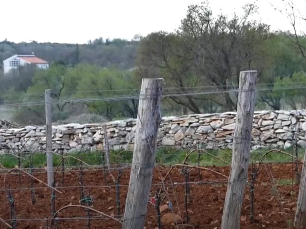 Neki pronalaze načine da zaobiđu novi Zakon o poljoprivrednom zemljištu