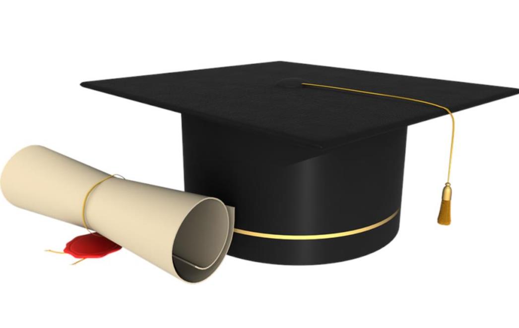 OTKRIVENA 25. LAŽNA DIPLOMA Sedam godina predavala djeci kemiju i biologiju