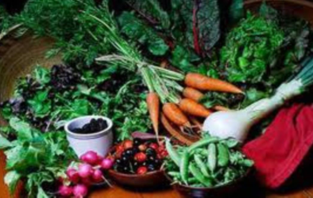 Deset savjeta za zdravlje probavnog sustava  