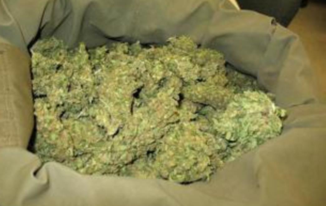 U dvije kuće na području Baćine pronađena marihuana i indijska konoplja