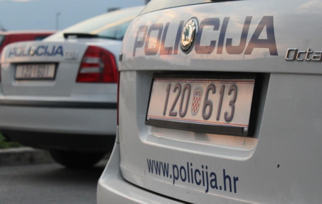 Metković: Uhvaćeni kradljivci glazbenih instrumenata
