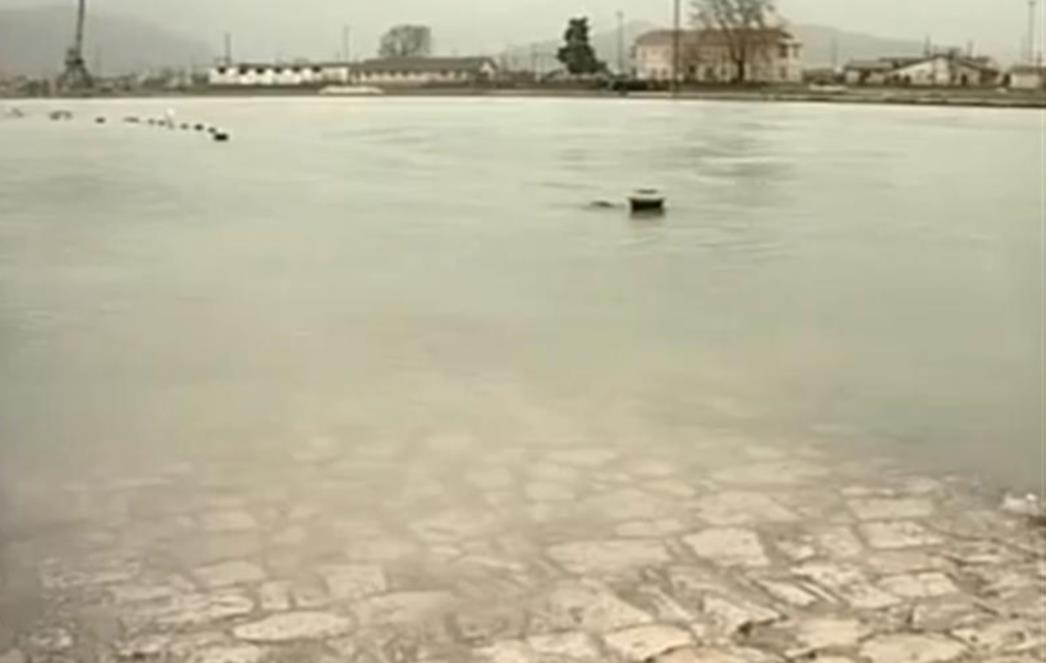 DRAMATIČNO U METKOVIĆU: Neretva  na 350 centimetara, poplavljeni objekti na desnoj obali (FOTO/VIDEO)