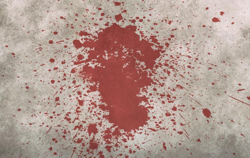 ZLOČIN U UGLEDNOJ OBITELJI Iskopao bratu grob, potom ga do smrti brutalno zatukao bokserom u glavu, a onda dokrajčio nožem