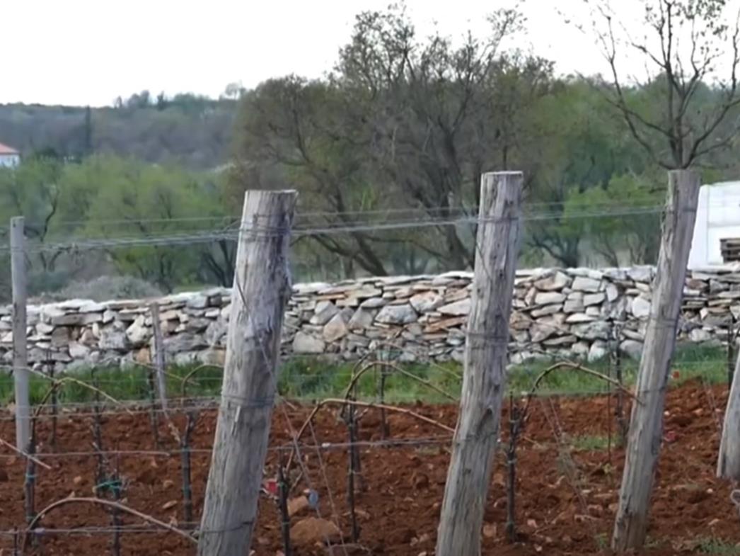 Stranci će uskoro moći kupovati poljoprivredna zemljišta u Hrvatskoj bez ograničenja