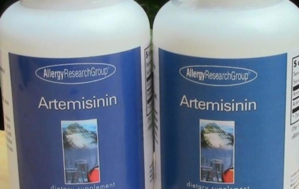 Artemisinin: Nova velika nada u liječenju   najagresivnijih  vrsta karcinoma