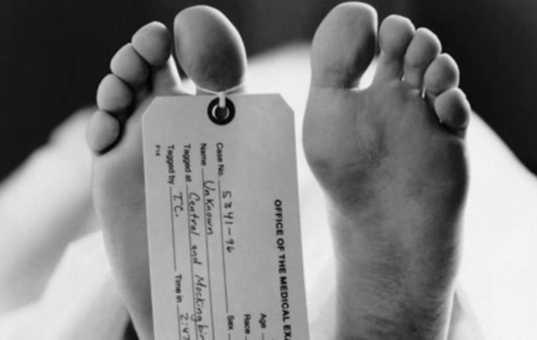 Ovo je deset najbizarnijih švercanih predmeta!