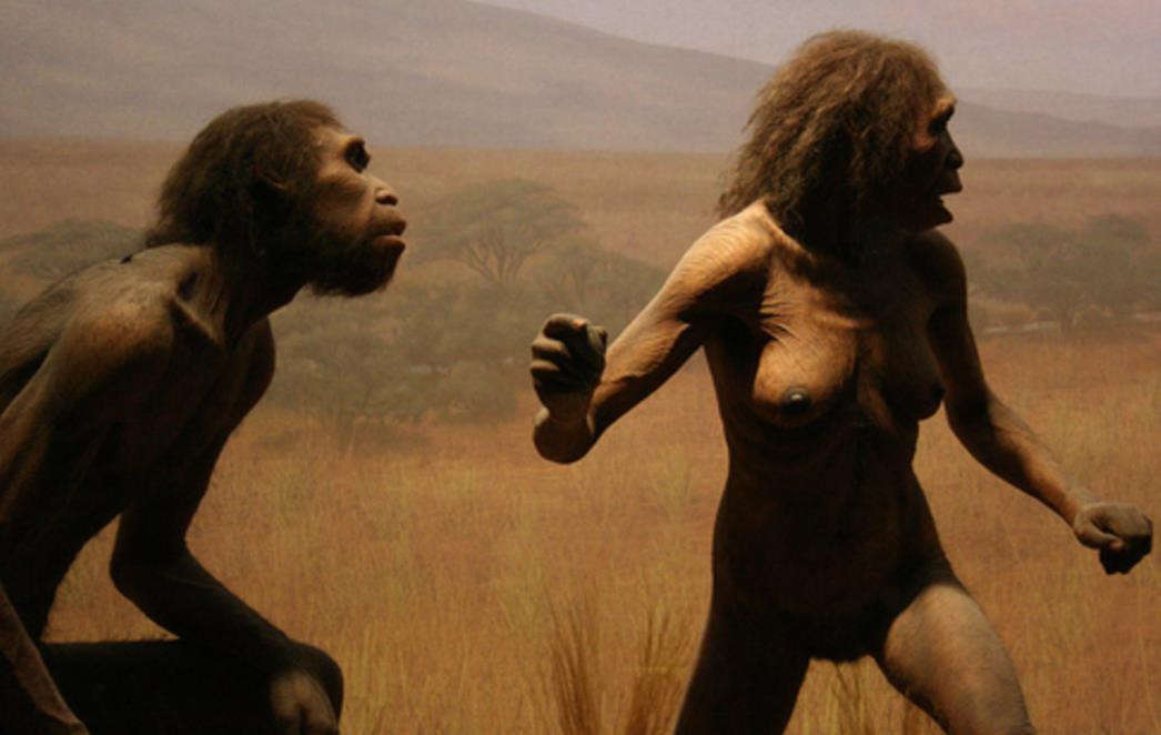 ISTRAŽIVANJE POTVRDILO Homo erectus je kuhao hranu