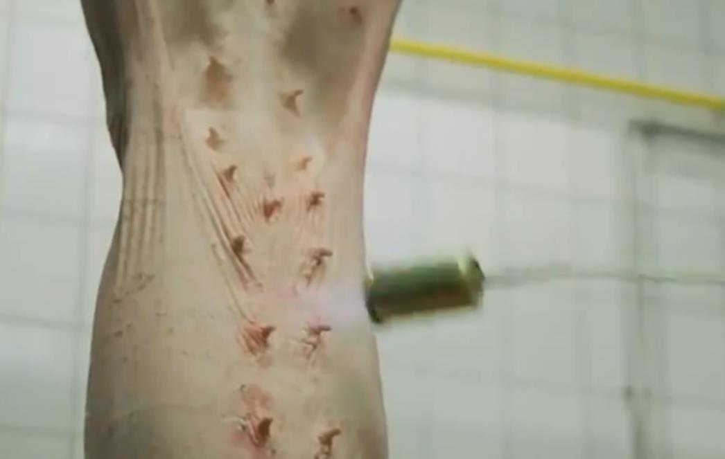 Bizarniju reklamu niste gledali, a ukoliko imate slab želudac ni nemojte! (VIDEO)