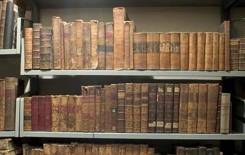 VIC DANA: Mujo u biblioteci
