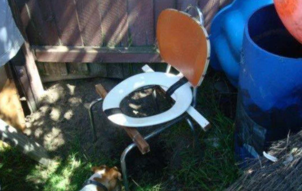 VID DANA: Poljski zahod