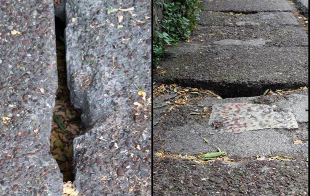 NAKON OBJAVE NA PORTALU OKO: Bravo za očišćenu ulicu, a kada će na red doći ovaj katastrofalni pločnik? /FOTO/