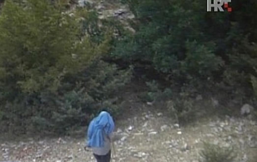 Pao i treći piroman: 31-godišnjak izazvao požar kod Vranskog jezera