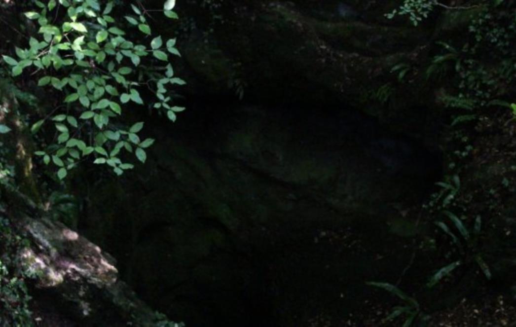 Počast žrtvama koje su likvidirali partizanski zlikovci i bacili u Kevinu jamu