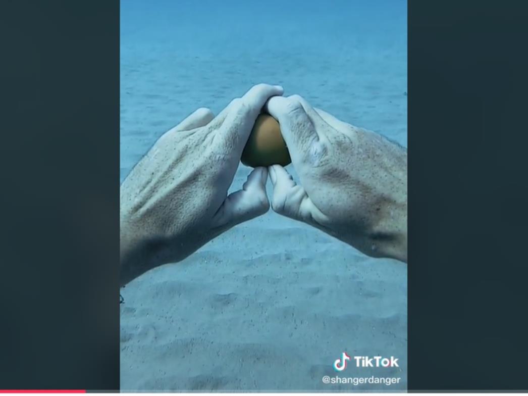 Odlučio saznati što se dogodi kad razbijete jaje na dnu oceana (VIDEO)
