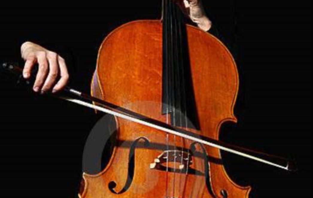 MLADA DUBROVKINJA NIŽE USPJEHE: Upoznajte violončelisticu Mihaelu Čuljak!