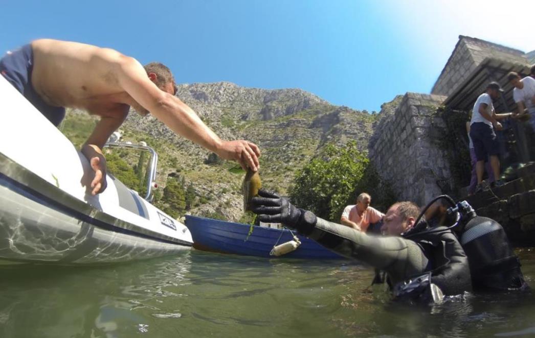     Ronilački klub Dubrovnik i Abyss Dubrovnik sutra u akciji čišćenja podmorja