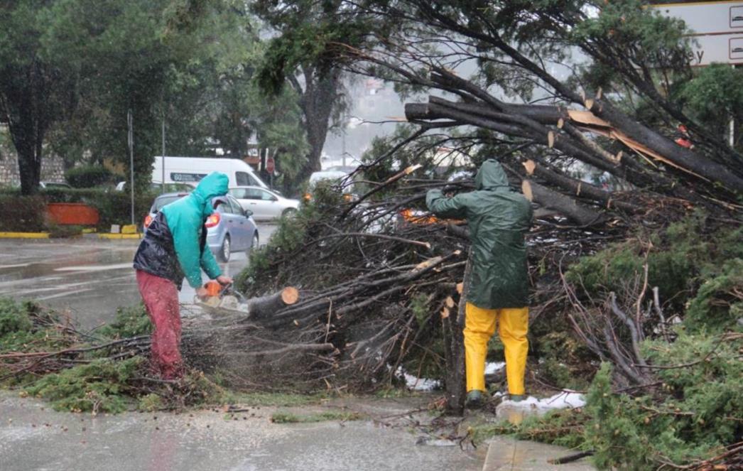 NEVRIJEME U DUBROVNIKU:  Ulice i objekti poplavili, stabla na ulicama! /FOTO+VIDEO/