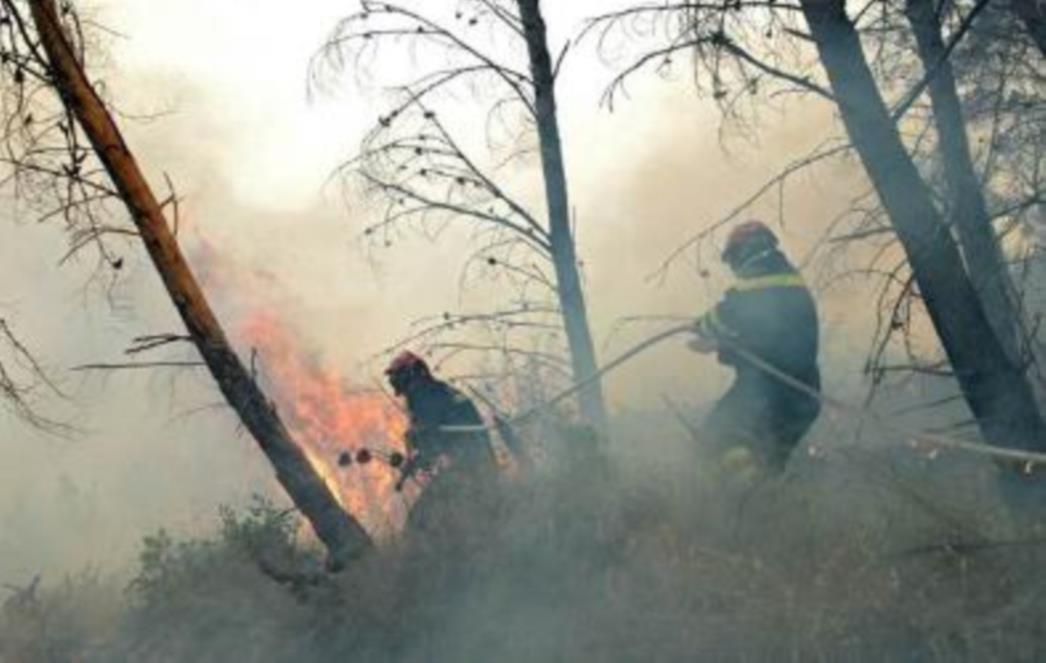 Požar između Topolog i Štedrice nije ugašen, ali je pod nadzorom vatrogasaca