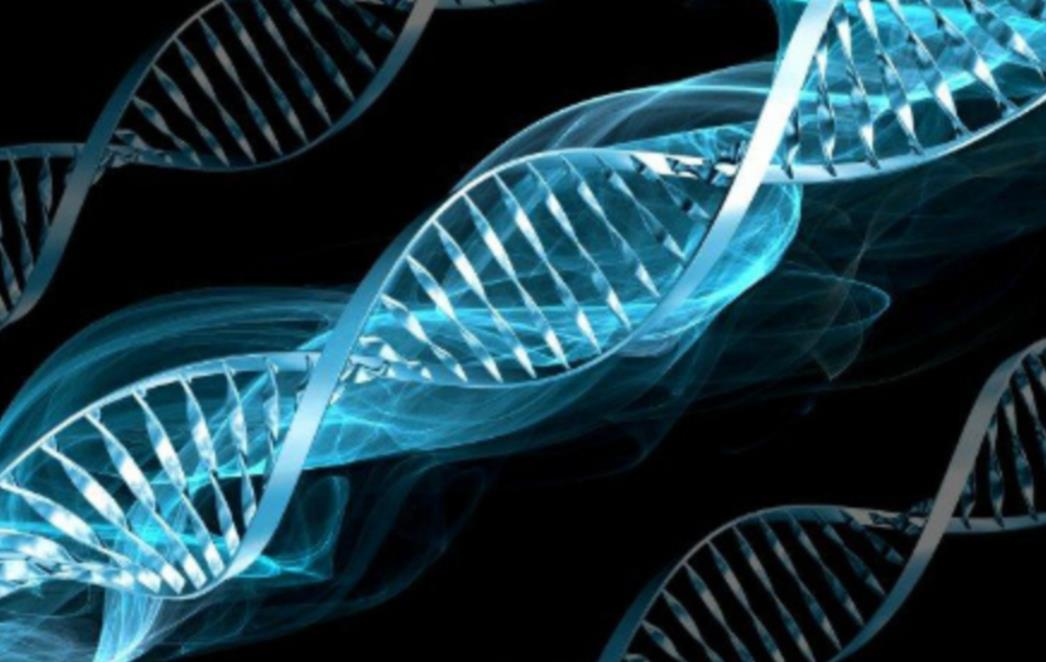 Prvi biološki dokaz o utjecaju meditacije i psihološke podrške na stanice