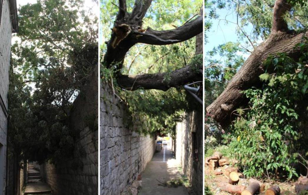 'Ovo je sramota!  Cijeli Dubrovnik priča o ovome, a oni koji bi trebali ovo srediti ne rade ništa!' /FOTO/