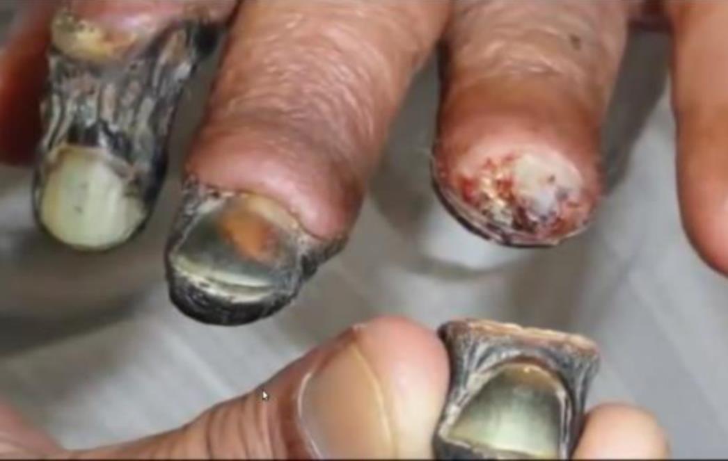 DROGA KOJA JEDE: Krokodil se pojavio u blizini Dubrovnika?