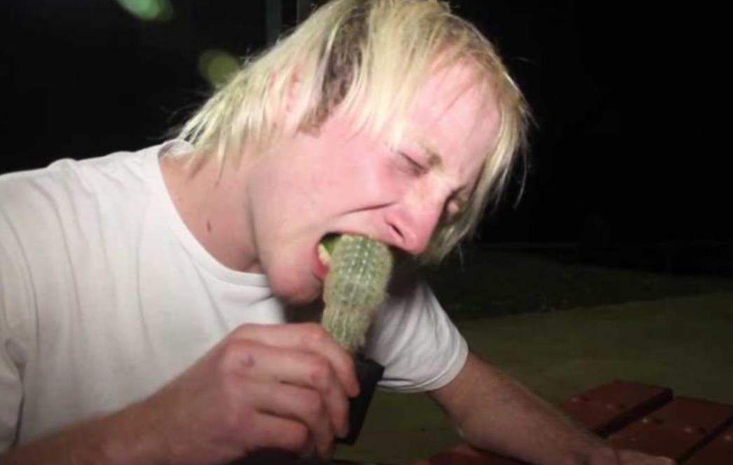 BOLI I DOK GLEDATE: Mladić pojeo kaktus, pogledajte reakciju! (VIDEO)