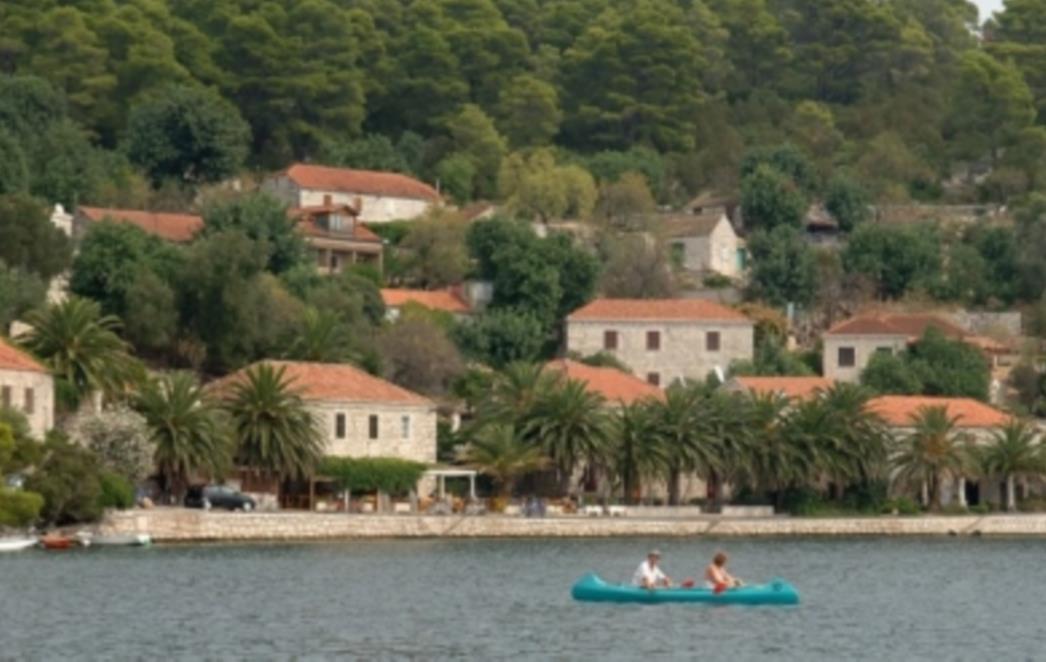 BURNO NA MLJETU: Novozelanđanin pao s mopeda, trojica mladića narušavala javni red i mir