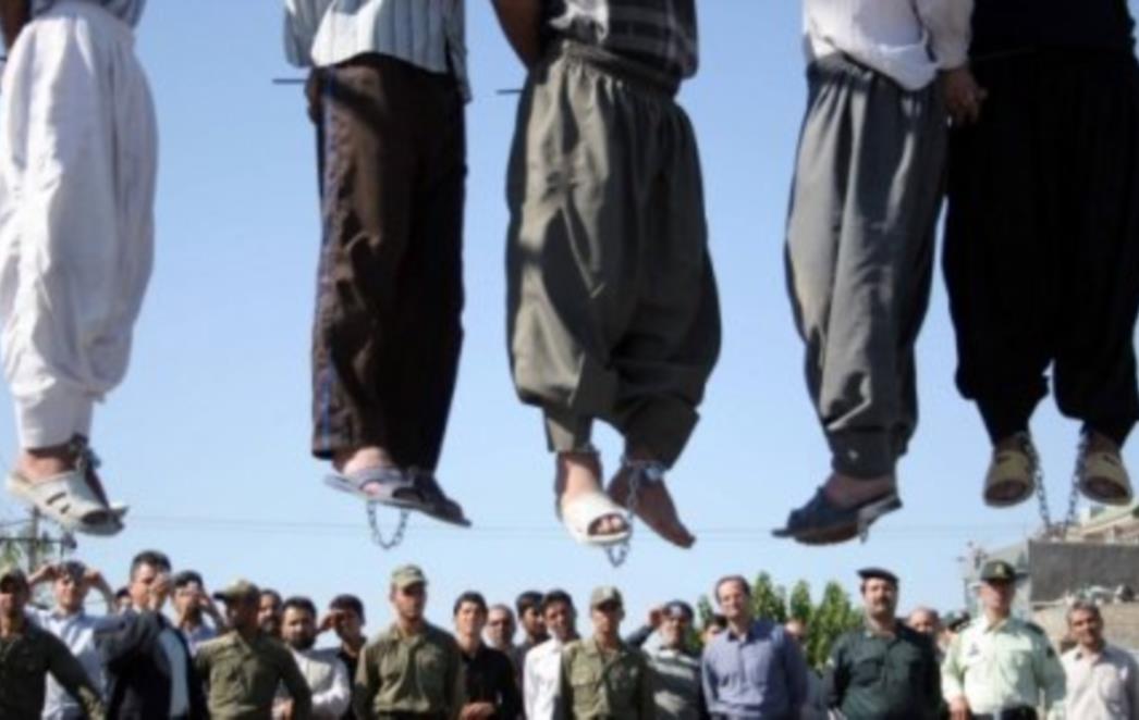 OČEKUJEMO ISPUNJENJE OBEĆANOG: Jedna radikalna budaletina, koju režimski mediji smatraju vrsnim psihologom, je navodno izjavila da će se objesiti ukoliko referendum o braku uspije?