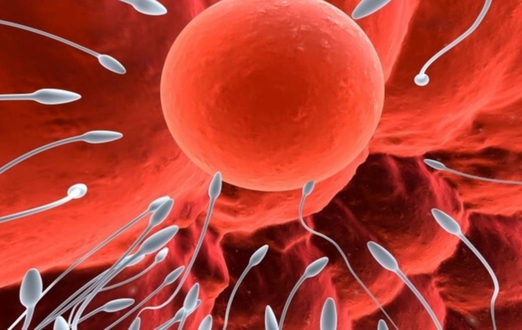 Kako stres uništava mušku plodnost!