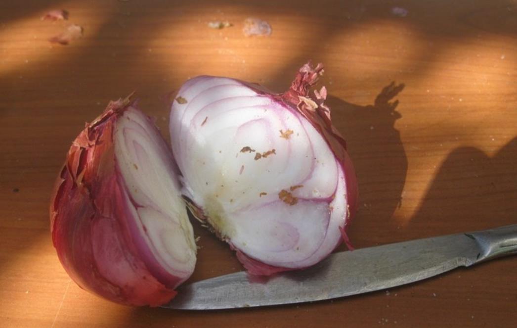 Želite živjeti dugo? Ove vam namirnice mogu pomoći u tome
