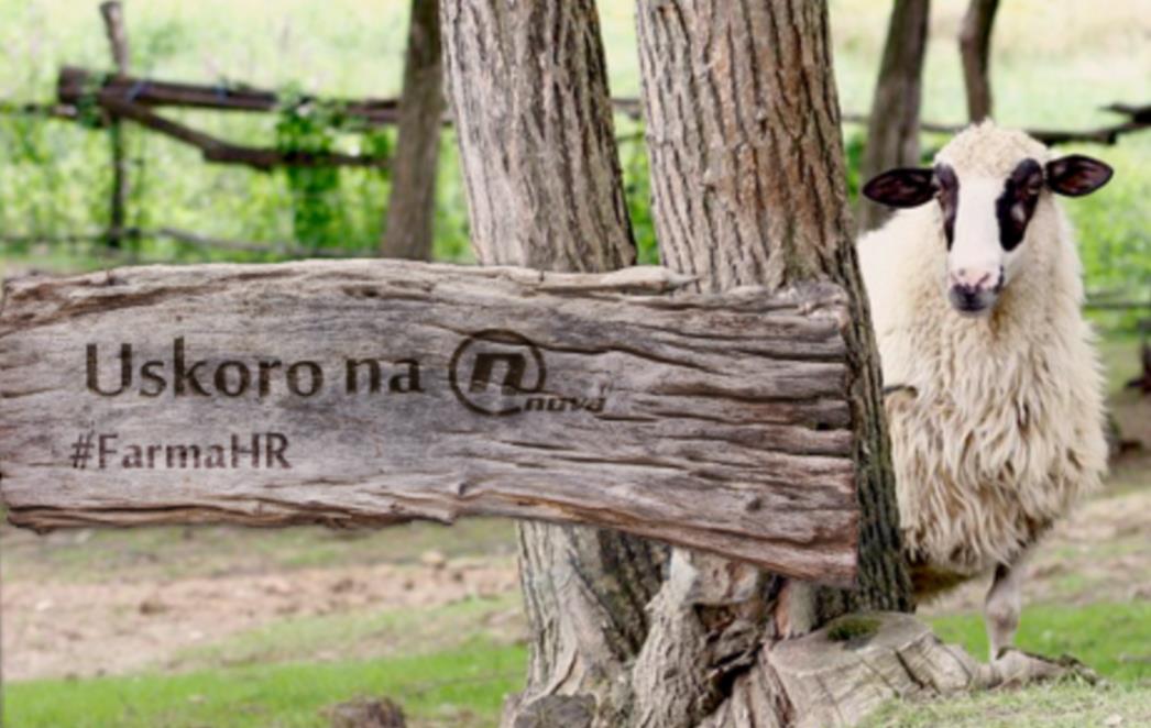 Big Brother, Farma - evo odgovora zašto gledamo reality emisije!