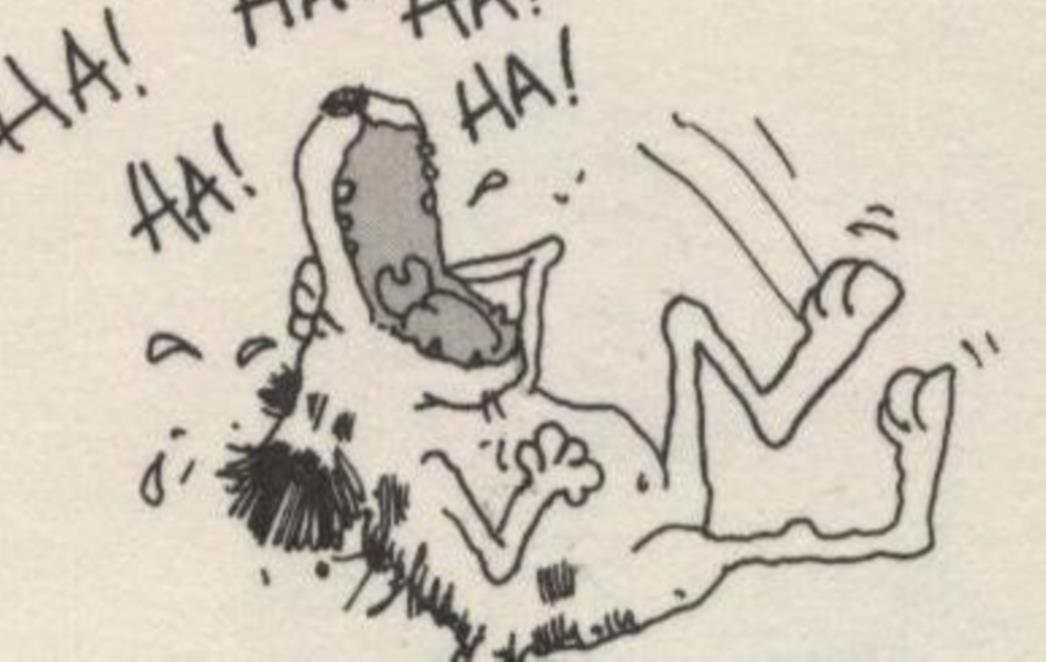 VIC DANA: Mujo i Talijana