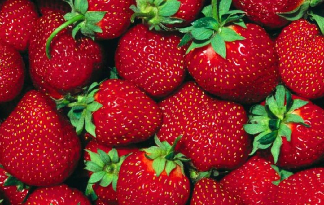 NIJE IZMIŠLJOTINA: Za vrhunski seks jedite ove namirnice!