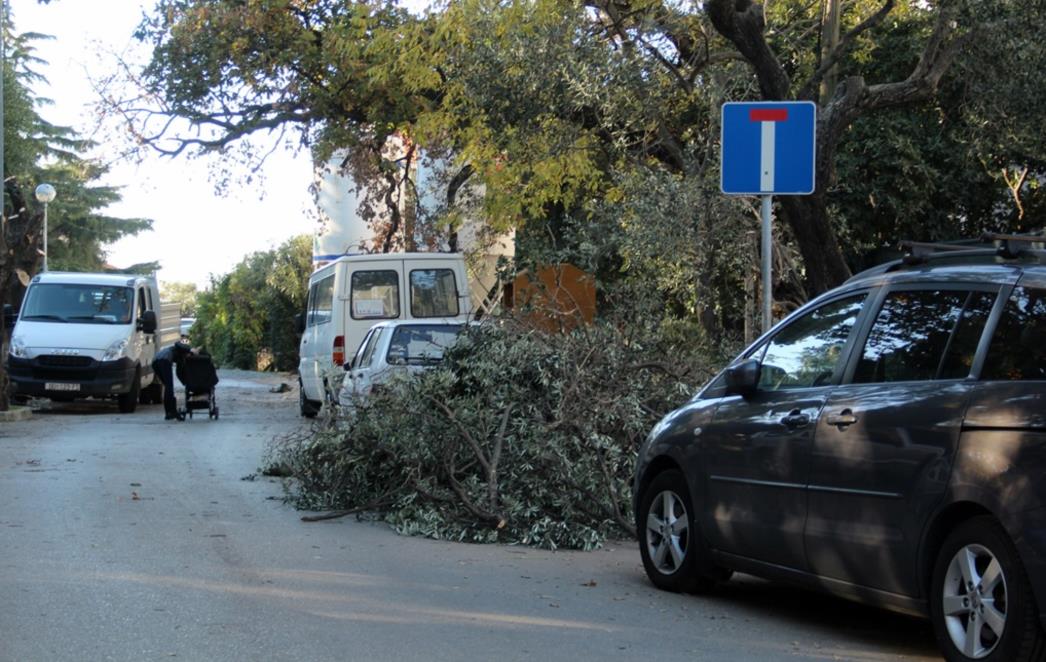 ZAPOSLENIK VRTLARA VERBALNO NAPAO DUBROVKINJU: 'Što ćeš ti meni govorit, žabo krastačo!' (FOTO)