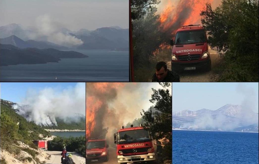 NA KOBAŠU IZBIO VELIKI POŽAR Kanader gasi vatru, svi vatrogasci na terenu (FOTO)