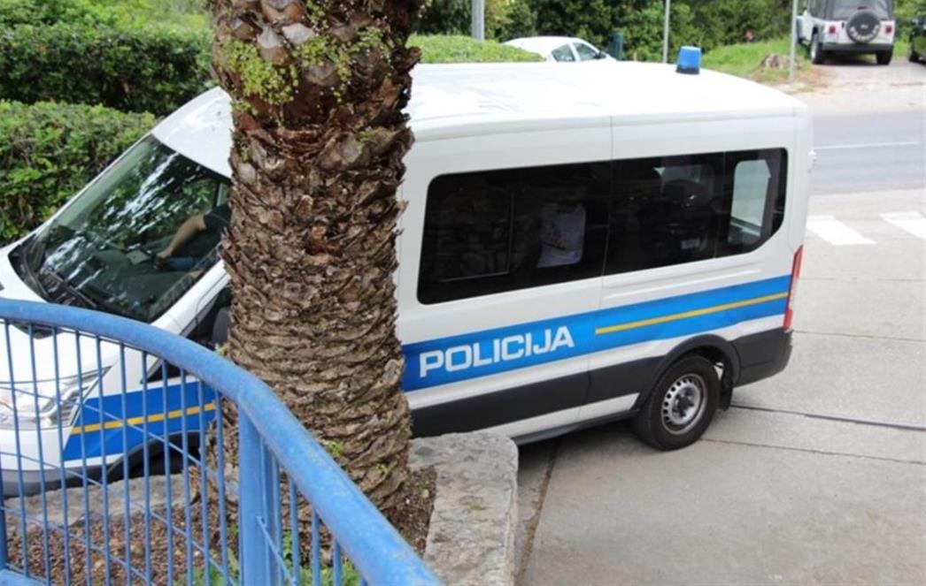 Sedmorica zatečena u posjedu manje količine marihuane i tableta