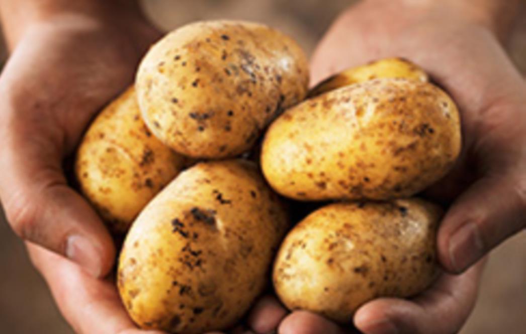 Namirnice koje biste pod svaku cijenu trebali kupovati iz organskog uzgoja