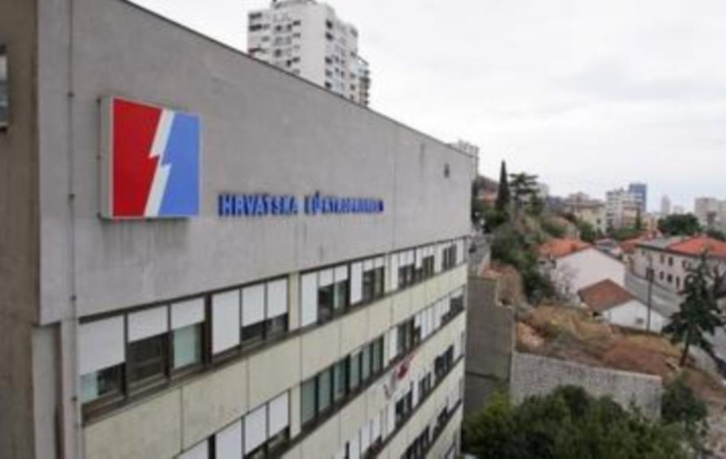  Mravak i "društvo" oštetili HEP za više od 650 mil kuna