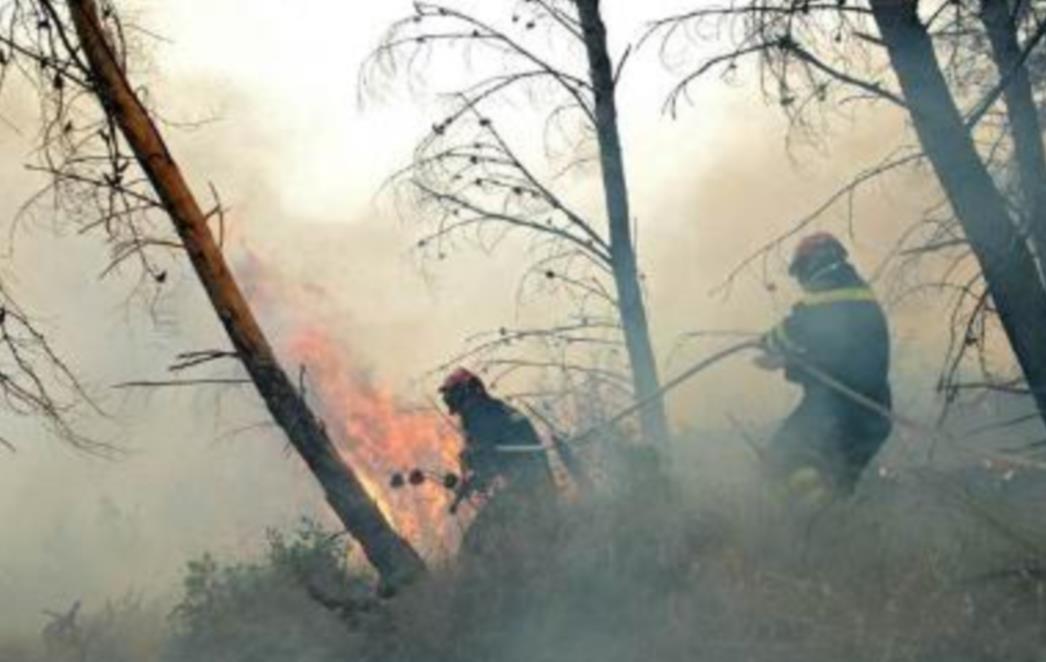 Na Mljetu još gori, požar na Kliševu lokaliziran