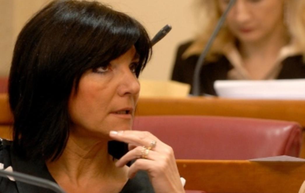 Šimac – Bonačić povukla paralelu  između Vekarića i zloglasne "Srpske akademija nauka i umetnosti"