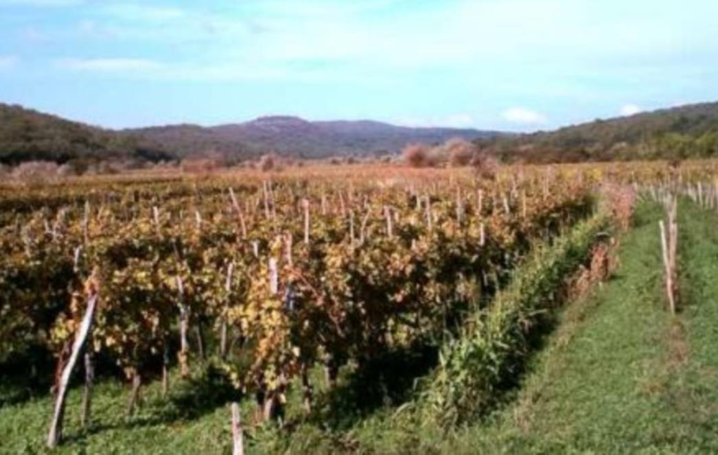 Zakon o širenju korupcije i malverzacija