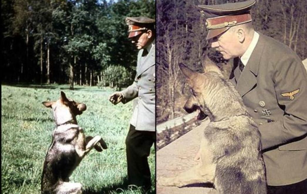 Hitlera tek danas skinuli s liste počasnih građana