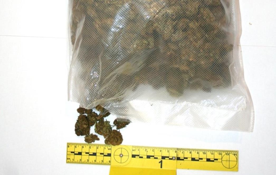 Kod sezonca pronađeno gotovo pola kilograma marihuane