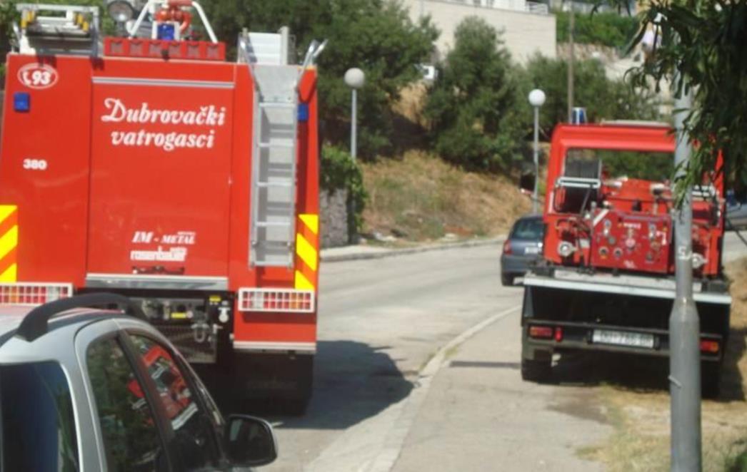 POŽAR U MOKOŠICI: Gorjelo kraj 'Pupa', vatrogasci u akciji